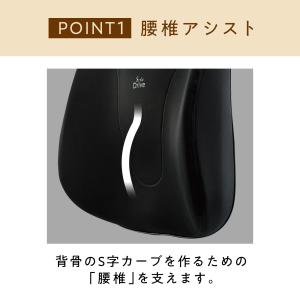 【ポイント10倍】 公式ストア スタイルドライ...の詳細画像3