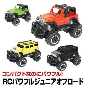 ラジコンカー オフロードカー RC ラジコン パワフルジュニア