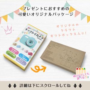 キッズカメラ トイカメラ 日本企画商品 mic...の詳細画像4