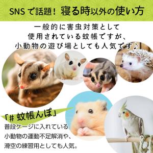 蚊帳 テント ワンタッチ 底付きで軽量 一人用...の詳細画像5