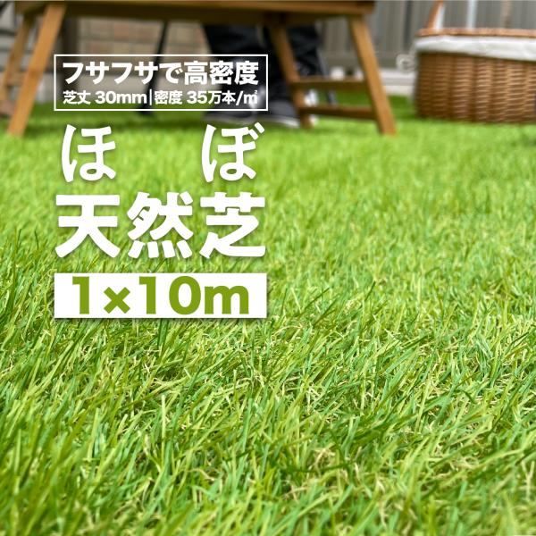 人工芝 リアル人工芝 ロール 1m×10m 密度35万本/m2 高耐久 U字ピン26本付 DIY