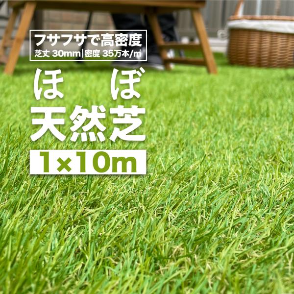 工芝 リアル人工芝 ロール 1m×10m 密度35万本/m2 高耐久 U字ピン26本付 DIY