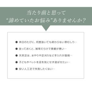 人工芝 リアル人工芝 ロール 1m×10m 高...の詳細画像4