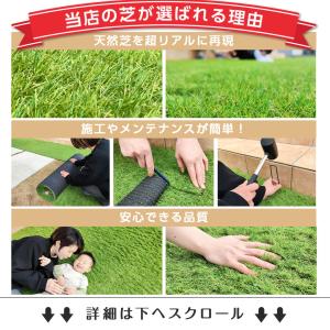 人工芝 防草タイプ リアル人工芝 ロール 1m...の詳細画像2
