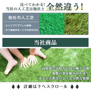 人工芝 防草タイプ リアル人工芝 ロール 1m...の詳細画像3