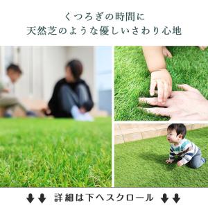 人工芝 防草タイプ リアル人工芝 ロール 1m...の詳細画像5