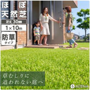 人工芝 防草タイプ リアル人工芝 ロール 1m×10m 高耐久 U字ピン26本付 DIY ALTENA