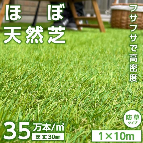 人工芝 防草タイプ リアル人工芝 ロール 1m×10m 密度35万本/m2 高耐久 U字ピン26本付...