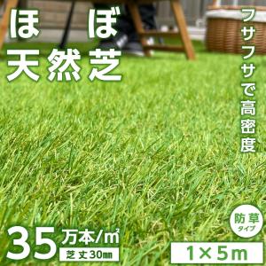 予約販売 4月上旬】人工芝 リアル人工芝 ロール 1m×10m 密度35万本/m2