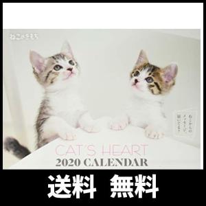 ねこのきもちカレンダーの商品一覧 通販 Yahoo ショッピング