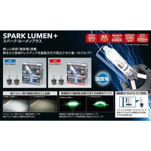 RACING GEAR RG 純正HID交換用バルブ D4S/R共通 SUPER LUMEN+ 5000K  