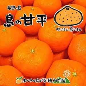 2022年2月販売予約【訳あり】希望の島 甘平 5kg サイズ込 愛媛 中島産