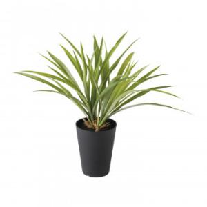 フェイクグリーン アオオリヅルラン 40cm 鉢植 人工観葉植物 観葉植物 造花 光触媒 Ct触媒 インテリア Tk フェイクグリーンの神戸花物語 通販 Yahoo ショッピング