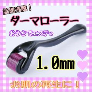 ダーマローラー 1.0mm 美顔ローラー 美容 肌ケア｜mts-store