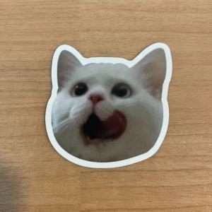 猫ミーム ステッカー 1枚 シール ベロ｜mts-store