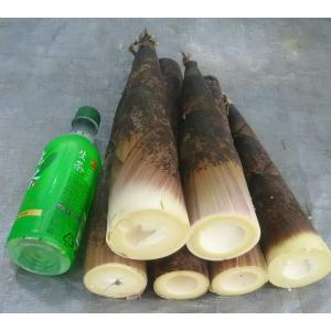 たけのこ 真竹　マダケ　6kg以上 クール冷蔵便　米ぬか付き