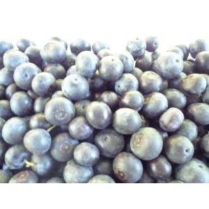 冷凍ブルーベリー　小粒　1kg  冷凍便