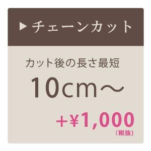 シャンデリア チェーンカット 最短10cm 加工 チェーン加工