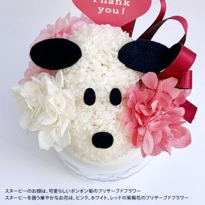 遅れてごめんね 母の日ギフト スヌーピー 母の...の詳細画像3