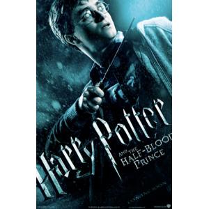 ハリーポッター/炎のゴブレット/ハリー ポスター【FF-5095】 : ムー