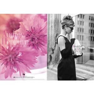 オードリー・ヘップバーン　クリアファイル【FW-23】