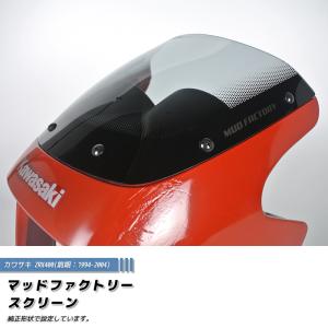 カワサキ ZRX1200R DAEG ダエグ 1100 400 後期 スクリーン ライト