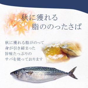 減塩 食品 塩ぬき屋 鹿児島県産 あごだし 使...の詳細画像5