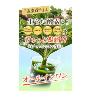 【送料無料!】 乳酸菌 500億個 生搾り製法...の詳細画像1
