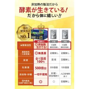 【送料無料!】 乳酸菌 500億個 生搾り製法...の詳細画像3