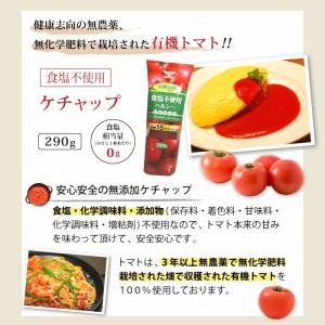 無塩 ケチャップ 食塩不使用 有機栽培 トマト...の詳細画像1