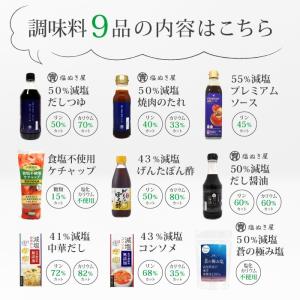 減塩 調味料セット 腎臓病 ・ 透析の方向け ...の詳細画像5