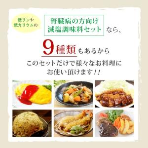 減塩 調味料セット 腎臓病 ・ 透析の方向け ...の詳細画像3