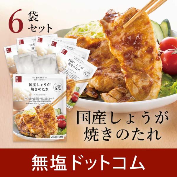 【お得な6袋まとめ買い】塩ぬき屋 減塩 しょうが焼き のたれ 6袋セット 国産しょうが使用　|  お...