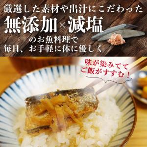送料無料 塩ぬき屋 減塩 人気のお魚料理3種 ...の詳細画像2