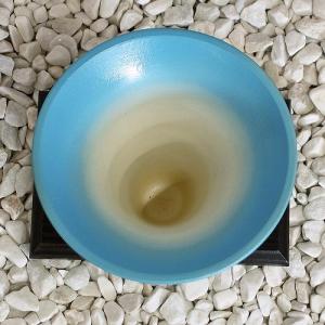1点物 花器 白釉 スカイブルー ラッパ 生花...の詳細画像3