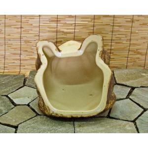 [ポイント3倍]信楽焼 カエル 置物 12号 ...の詳細画像2