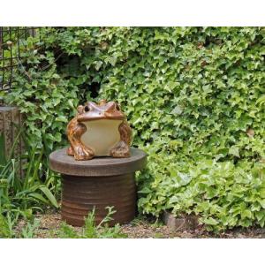 信楽焼 黄 カエル 置物 10号 (名入れ対応) 陶器 かわいい かえる