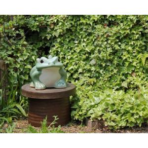 信楽焼 黄 カエル 置物 10号 (名入れ対応) 陶器 かわいい かえる