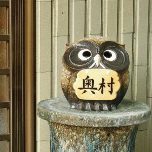信楽焼　ふくろう　置き物照明　大 ポイント5倍][名入れ]信楽焼 表札 羽 フクロウ 照明 置物 8号(4色展開