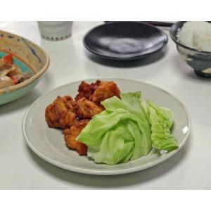 信楽焼 和食器 黒 銀彩 中皿 在庫数限り おしゃれ 食器 お皿 和皿 盛り