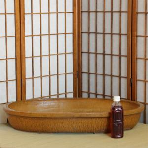信楽焼 水盤 緋色 小判 25号 スカーレット...の詳細画像1