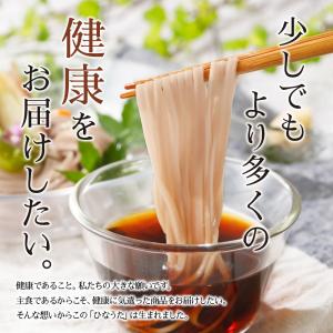 無限堂 稲庭うどん【鄙歌】かんざし麺 2kg(...の詳細画像2