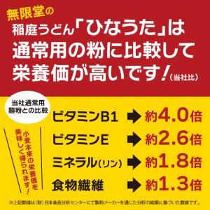 無限堂 稲庭うどん【鄙歌】かんざし麺 2kg(...の詳細画像5