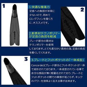 MARES (マレス) Concorde (コ...の詳細画像4
