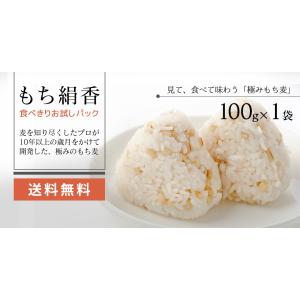 もち絹香 もち麦 おためし 1回限り購入 100g×1袋  雑穀