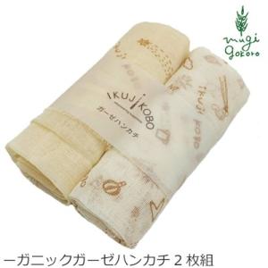 オーガニックコットンガーゼハンカチ 45cm×45cm×2枚