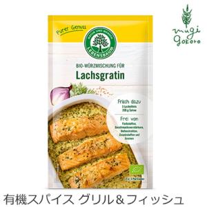 レーベンスバウム インスタントスパイス 有機スパイス グリル＆フィッシュ 20g 無添加 購入金額別特典あり 正規品  オーガニック 無農薬 有機