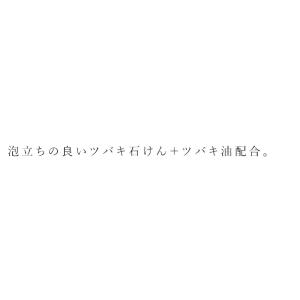 シャンプー ノンシリコン アンジーナ 石けんシ...の詳細画像1