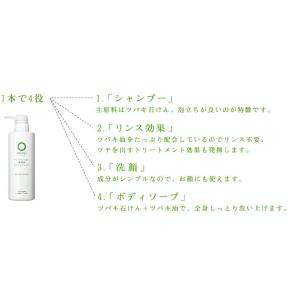 シャンプー ノンシリコン アンジーナ 石けんシ...の詳細画像3