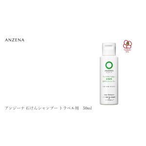シャンプー ノンシリコン アンジーナ 石けんシ...の詳細画像2
